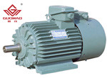 YZP起重及冶金用變頻調(diào)速三相異步電動(dòng)機(jī)